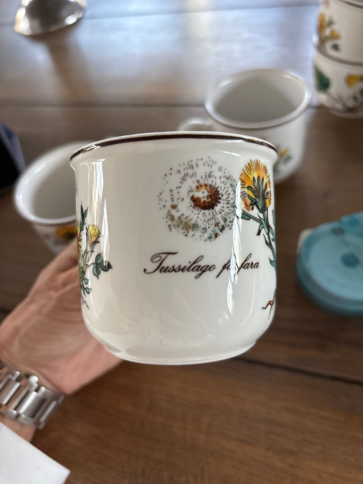 3 Villeroy & Boch Botanica koffiekopjes Tussilago farfara, Gebruikt, Villeroy & Boch, Ophalen of Verzenden, Kop(pen) en/of Schotel(s)