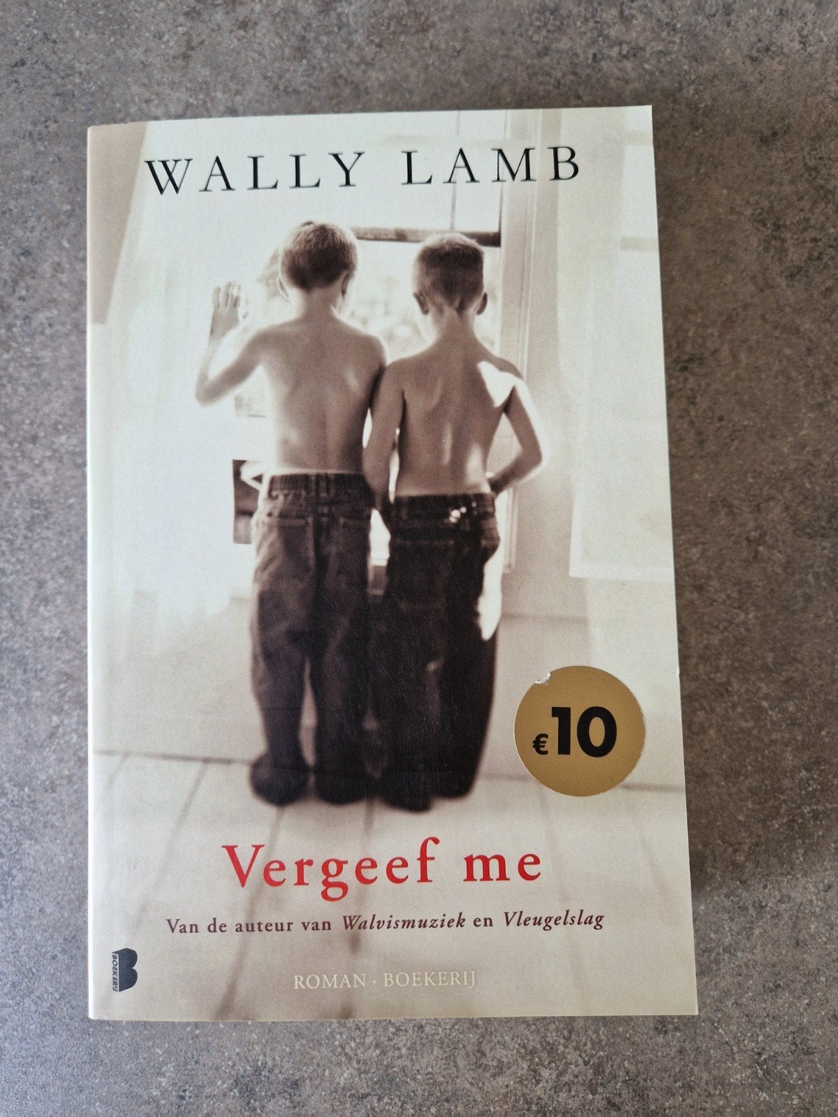 Vergeef me - Wally Lamb (Roman), Ophalen of Verzenden, Gelezen, Wally Lamb, Nederland