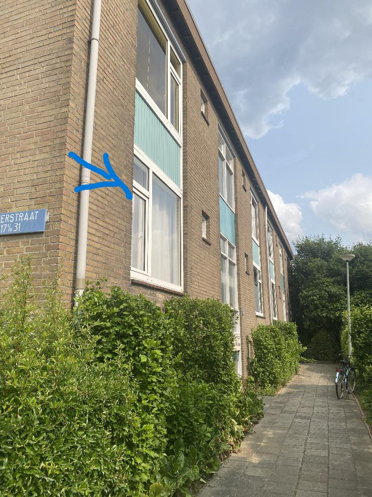 HUISRUIL NAAR AMSTERDAM/EINDHOVEN/UTRECHT/ROTTERDAM, 42 m², 2 kamers, Limburg