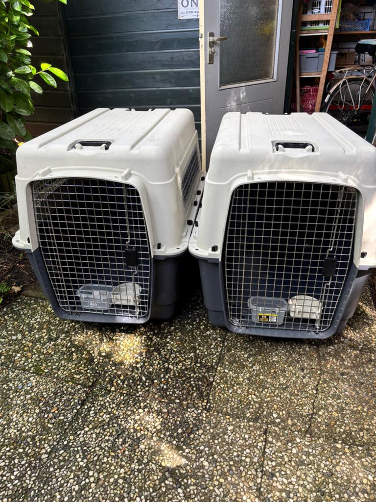 Te koop twee XXL honden benches / kennels IATA, Ophalen, Zo goed als nieuw