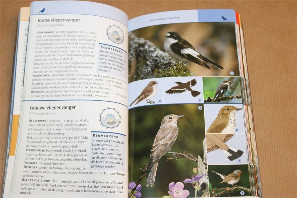 Vogels Europa — Natuurgids & Soortenherkenning, Ophalen of Verzenden, Gelezen, Vogels