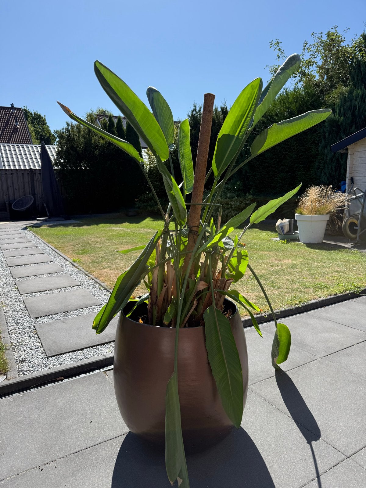 Grote gouden bloempot (D58 H56), Tuin en Terras, Bloempotten, Ophalen, Gebruikt, 40 cm of meer, Rond