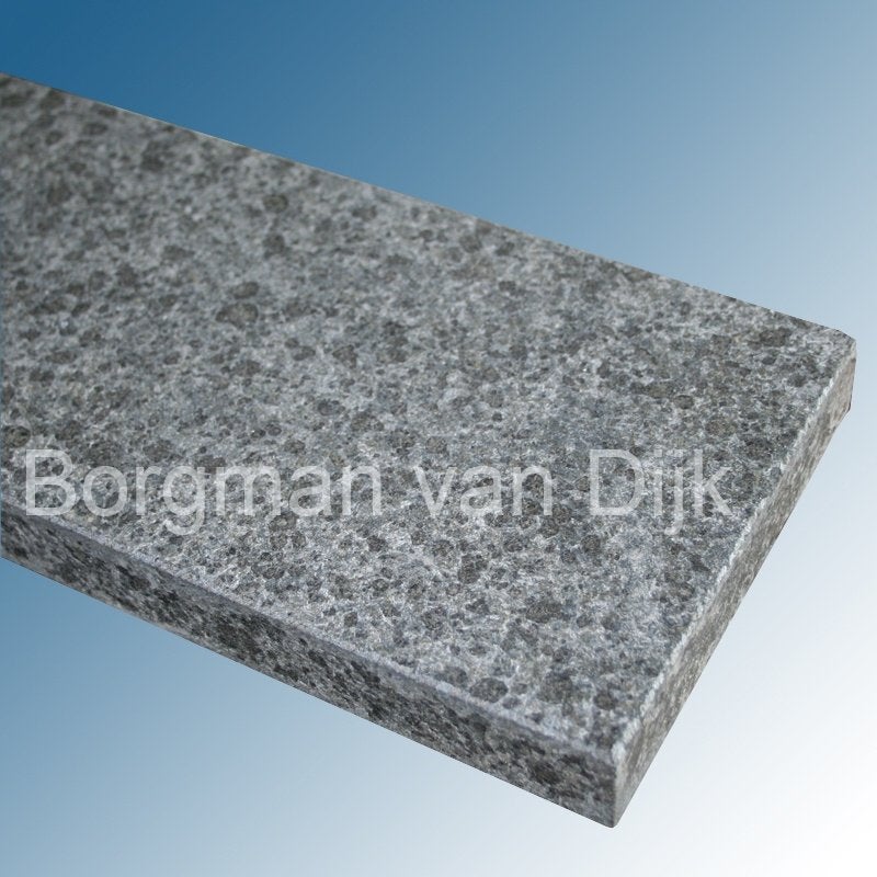 vijverrand G684 Basalt Gevlamd Geborsteld 100x25x3 cm, Ophalen of Verzenden, Nieuw