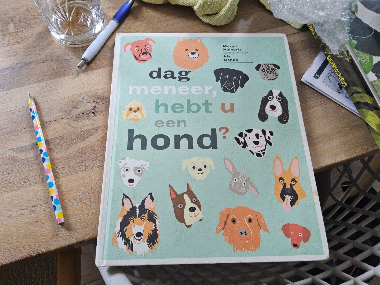 Dag meneer, hebt u een hond? - Prentenboek, Ophalen of Verzenden, Zo goed als nieuw, Marjet Huiberts