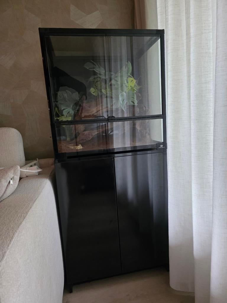 Splinter nieuwe paludarium 60x60x45, Ophalen, Nieuw, Terrarium of Paludarium