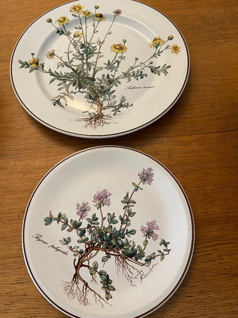 Servies Botanica, veel artikelen!, Ophalen, Villeroy & Boch, Zo goed als nieuw, Overige stijlen