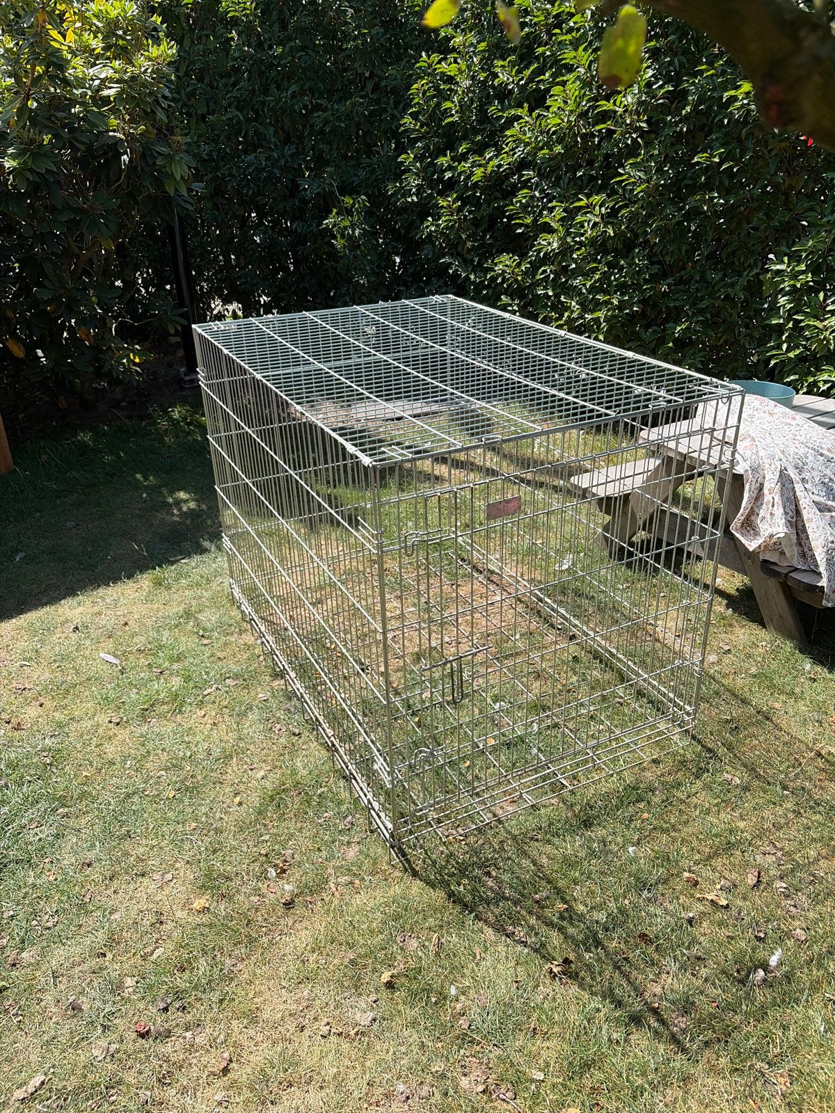 Hondenbench grote hond, Ophalen, Zo goed als nieuw
