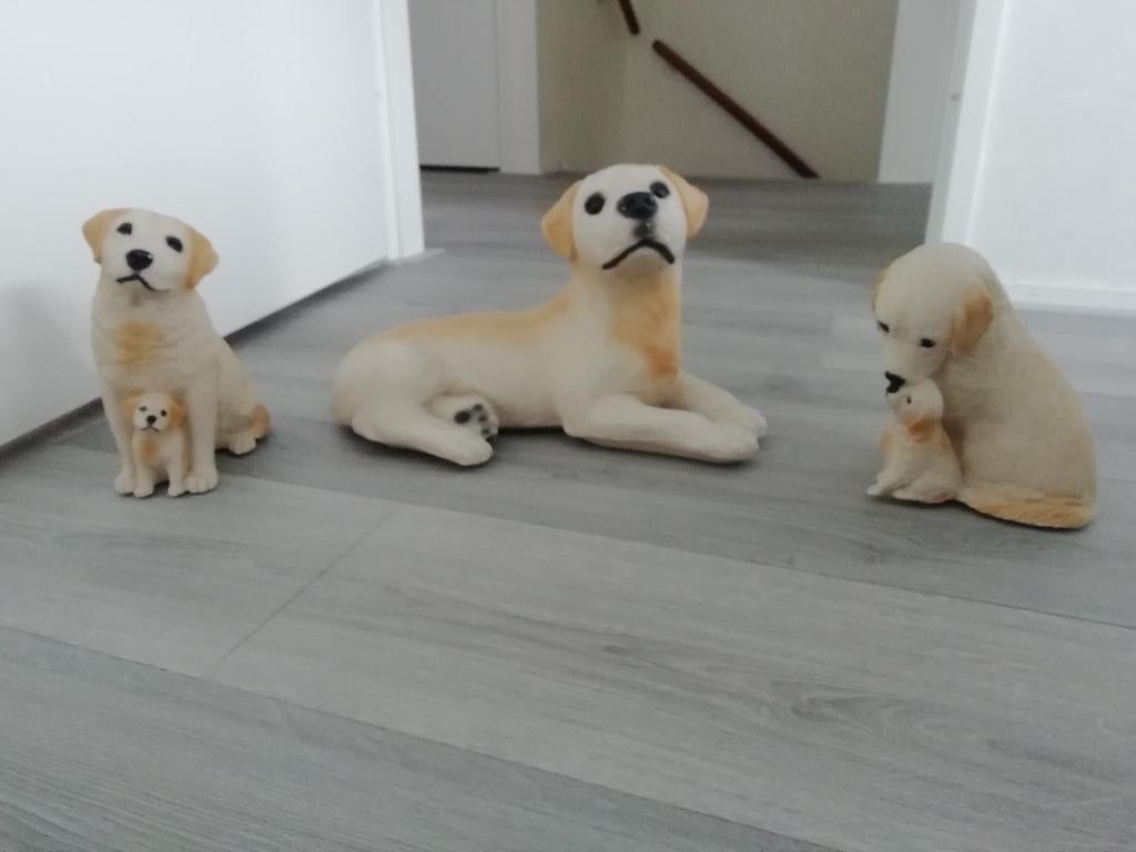 Te koop, Honden Beelden, Ophalen, Zo goed als nieuw, Dier
