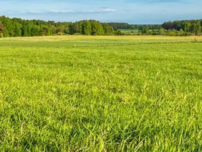 Gratis grond storten, Ophalen, Overige typen