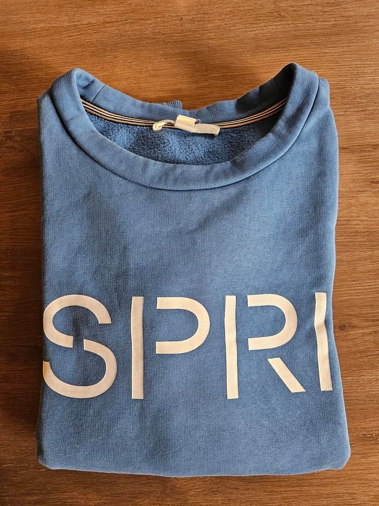ESPRIT bijna nieuwe sweater maat s, Kleding | Dames, Truien en Vesten, Blauw, Ophalen of Verzenden, Zo goed als nieuw, Maat 36 (S)