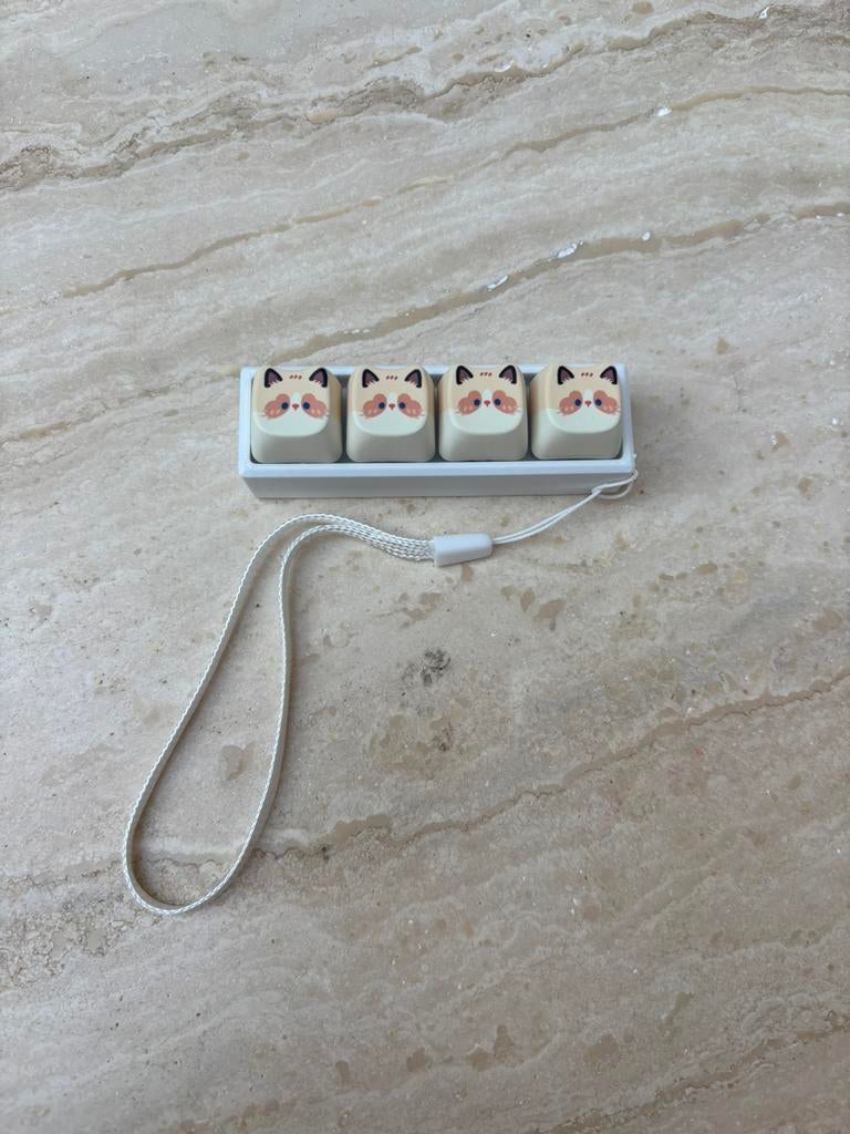 Klikker kattenkopjes, Ophalen of Verzenden, Nieuw