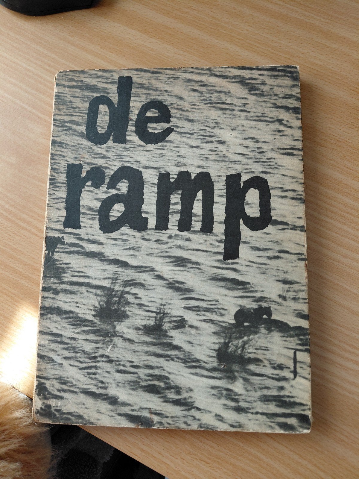 De Ramp - Stormvloed 1953 Boek met Kaart, Boeken, Ophalen of Verzenden, 20e eeuw of later, Gelezen, Onbekend