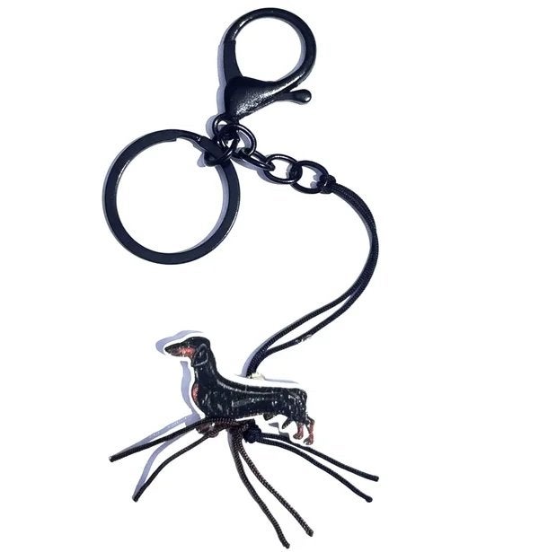 Sleutelhanger Teckel, Dier of Natuur, Nieuw, Ophalen of Verzenden, Struikheide 64,3069lj,Rotterdam
