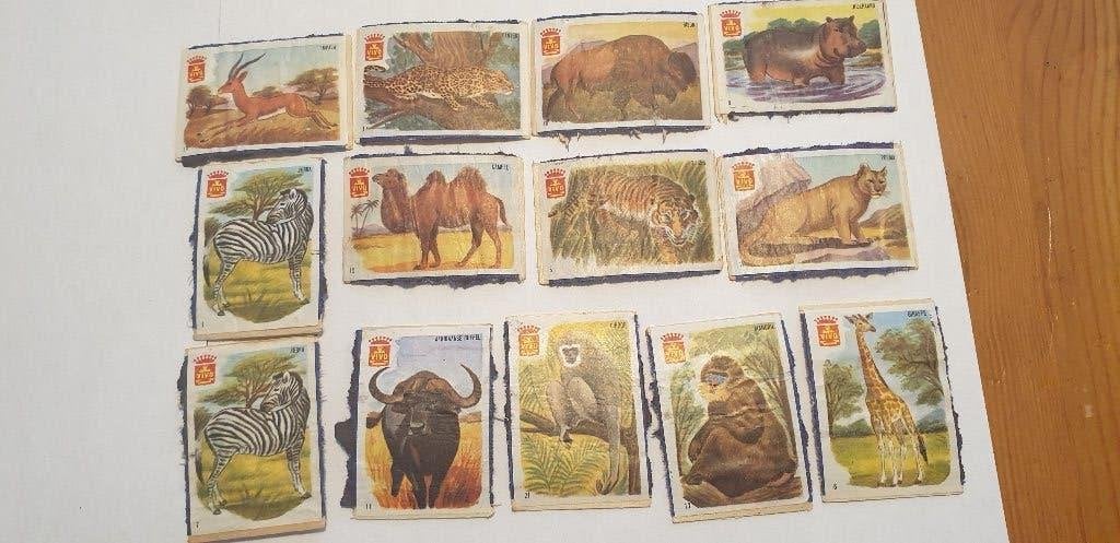 3213 vivo 13 luciferdoosjes etiketten wilde dieren, Verzenden, Luciferdoosjes of -merken