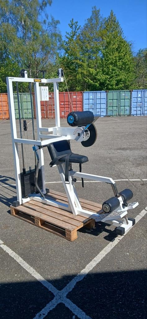 Technogym back extension, Sport en Fitness, Fitnessmaterialen, Ophalen, Gebruikt, Overige typen