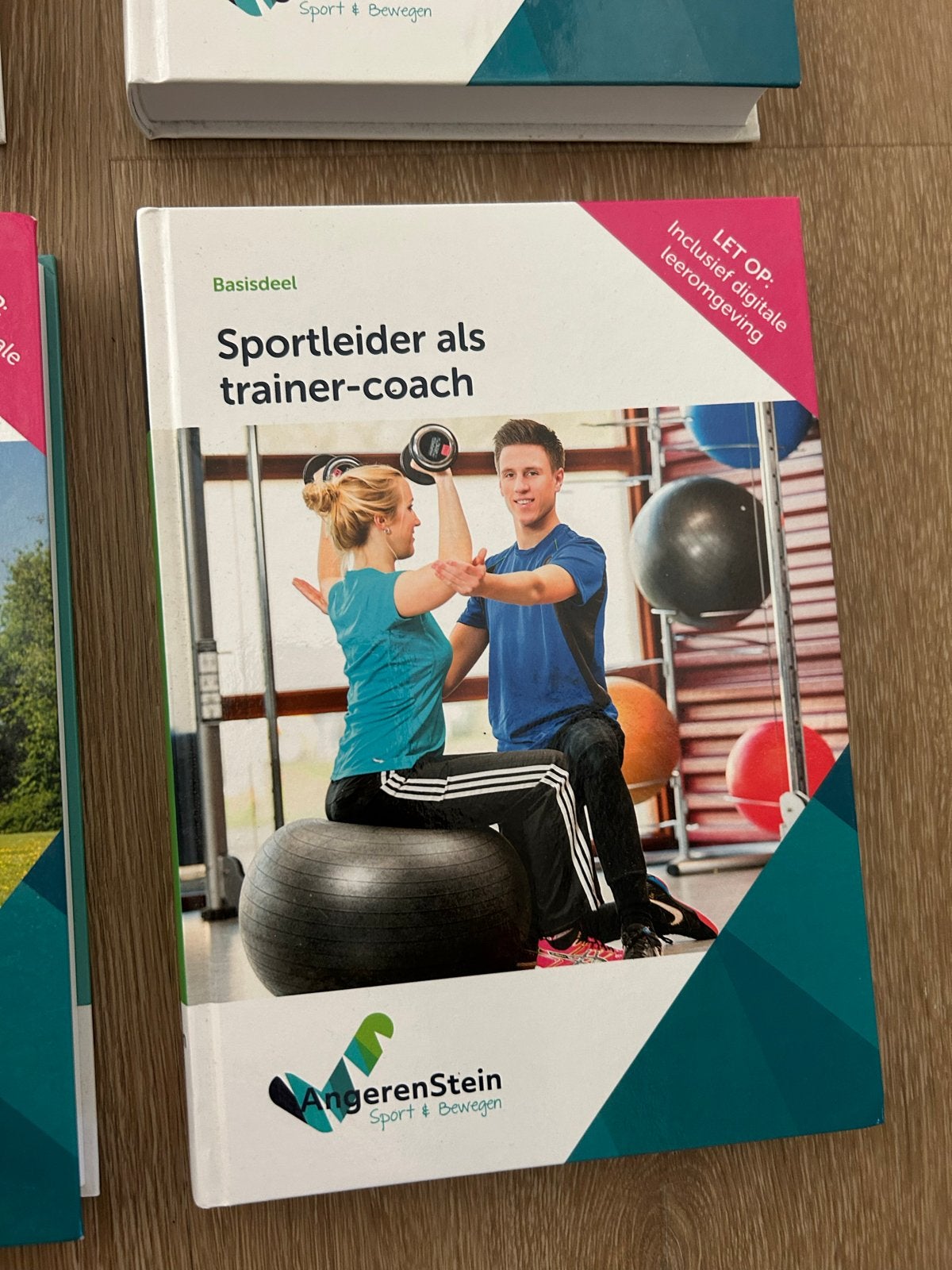 Sportleider als trainer-coach (Basisdeel) - AngerenStein, Ophalen of Verzenden, Zo goed als nieuw, MBO