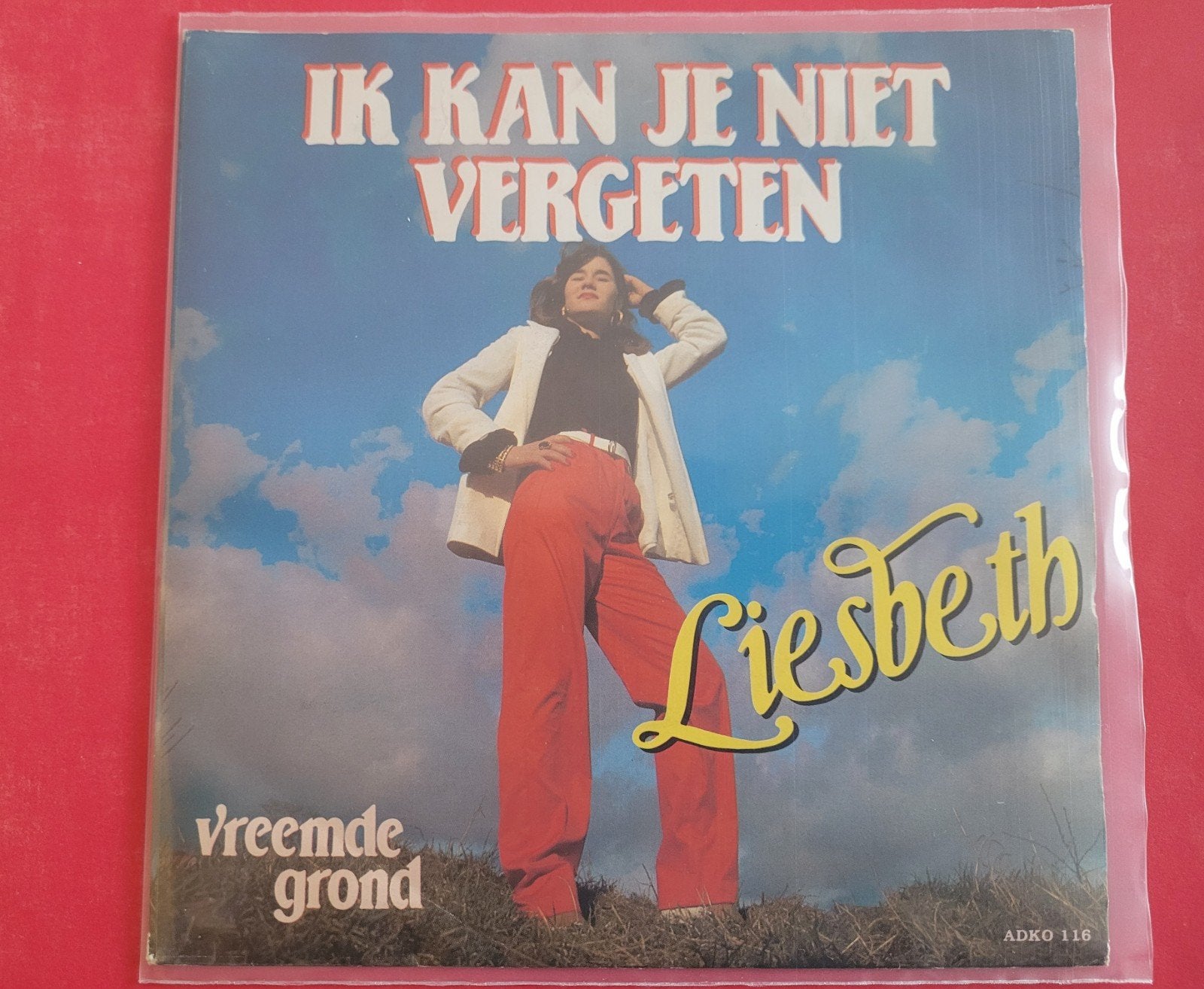 Liesbeth - Ik kan je niet vergeten., Ophalen, Zo goed als nieuw, Overige formaten, Levenslied of Smartlap