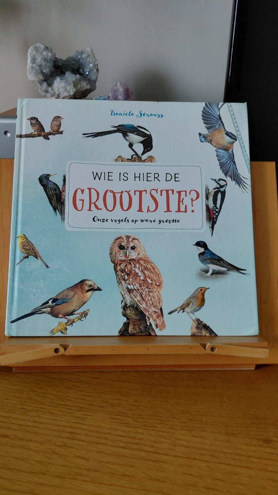 Wie is hier de grootste? Onze vogels op ware grootte, Boeken, Ophalen of Verzenden, Gelezen, Daniela Strauss, Non-fictie