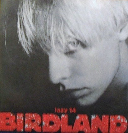 birdland / paradise - alt/indie/punk, Verzenden, Gebruikt, 7 inch, Rock en Metal
