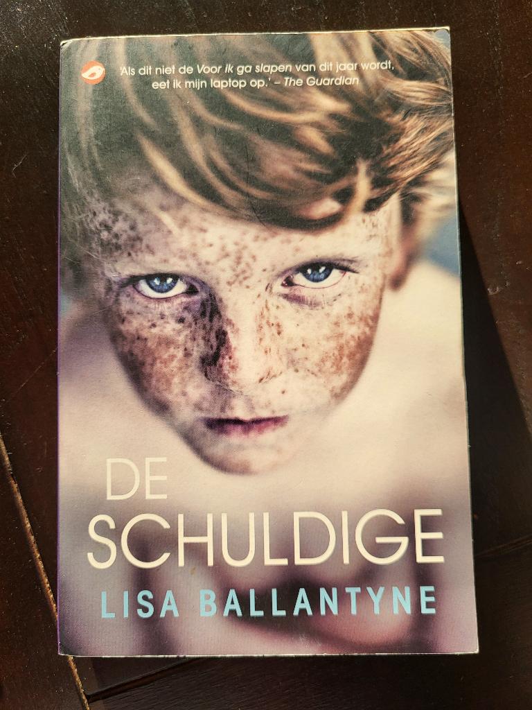 Boek roman "De Schuldige", Ophalen of Verzenden, Gelezen, Lisa Ballantyne