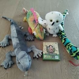 Knuffels: hagedis, kameleon, uil en slang kwartet Freek Vonk, Ophalen, Overige typen, Zo goed als nieuw, Middelgroot (20 tot 80 cm)