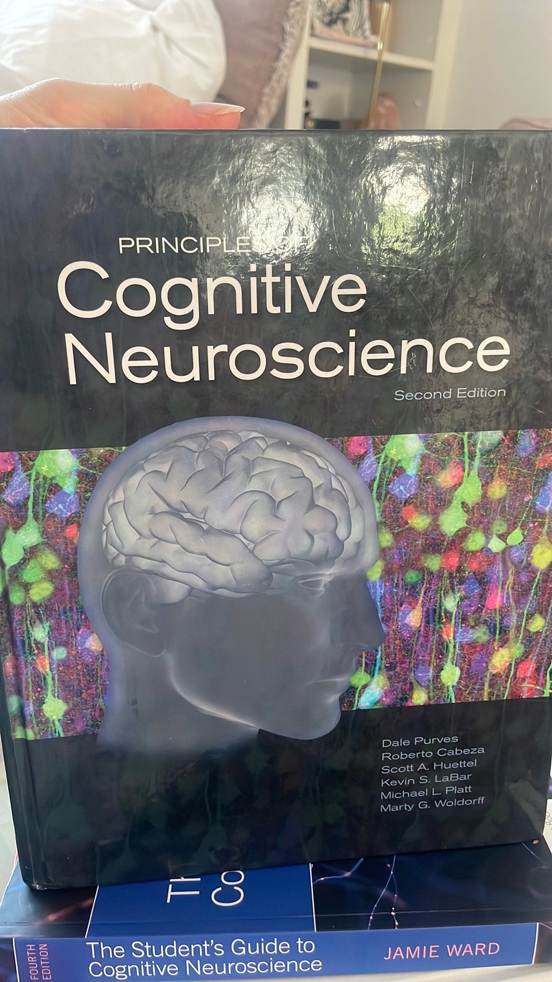Principles of Cognitive Neuroscience, Boeken, Ophalen of Verzenden, Beta, Zo goed als nieuw, WO