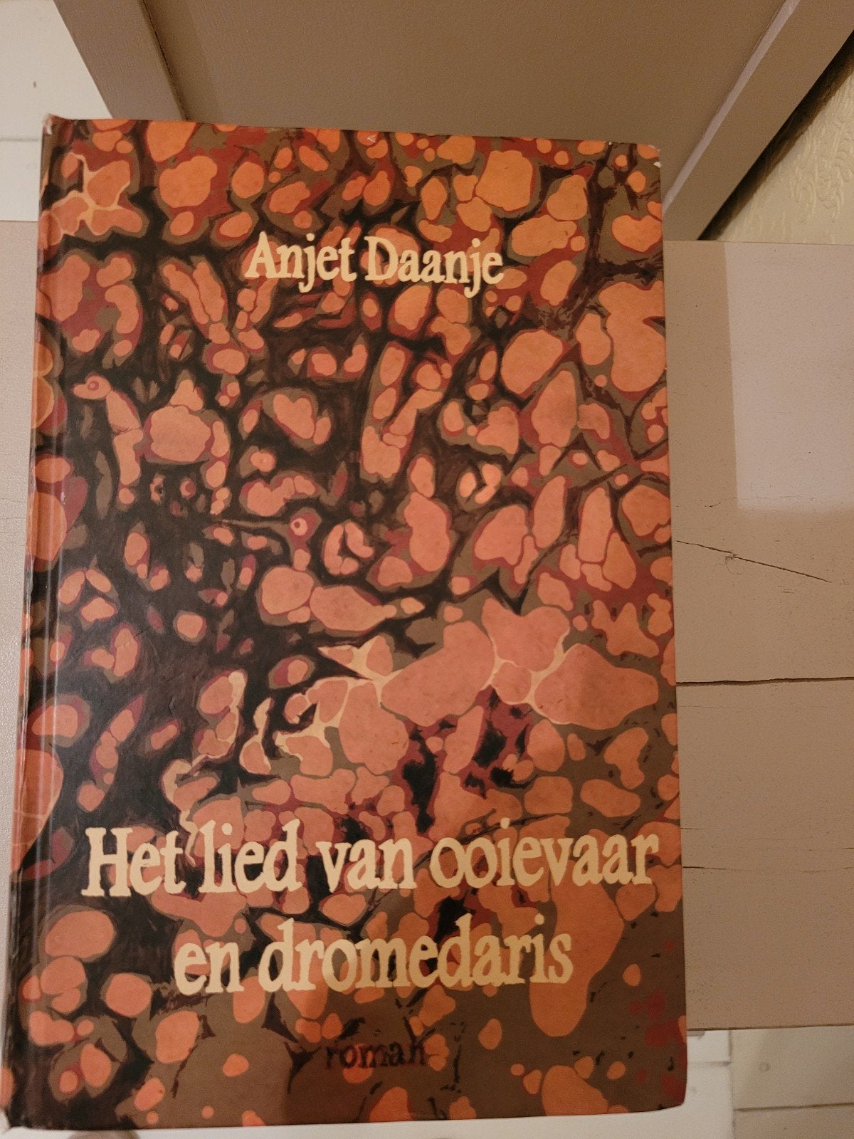 Het lied van ooievaar en dromedaris - Anjet Daanje, Boeken, Ophalen of Verzenden, Gelezen, Anjet Daanje, Nederland