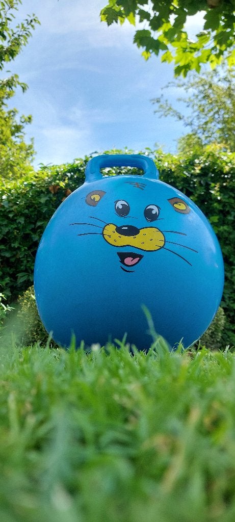 Skippybal gratis op halen, Ophalen, Zo goed als nieuw