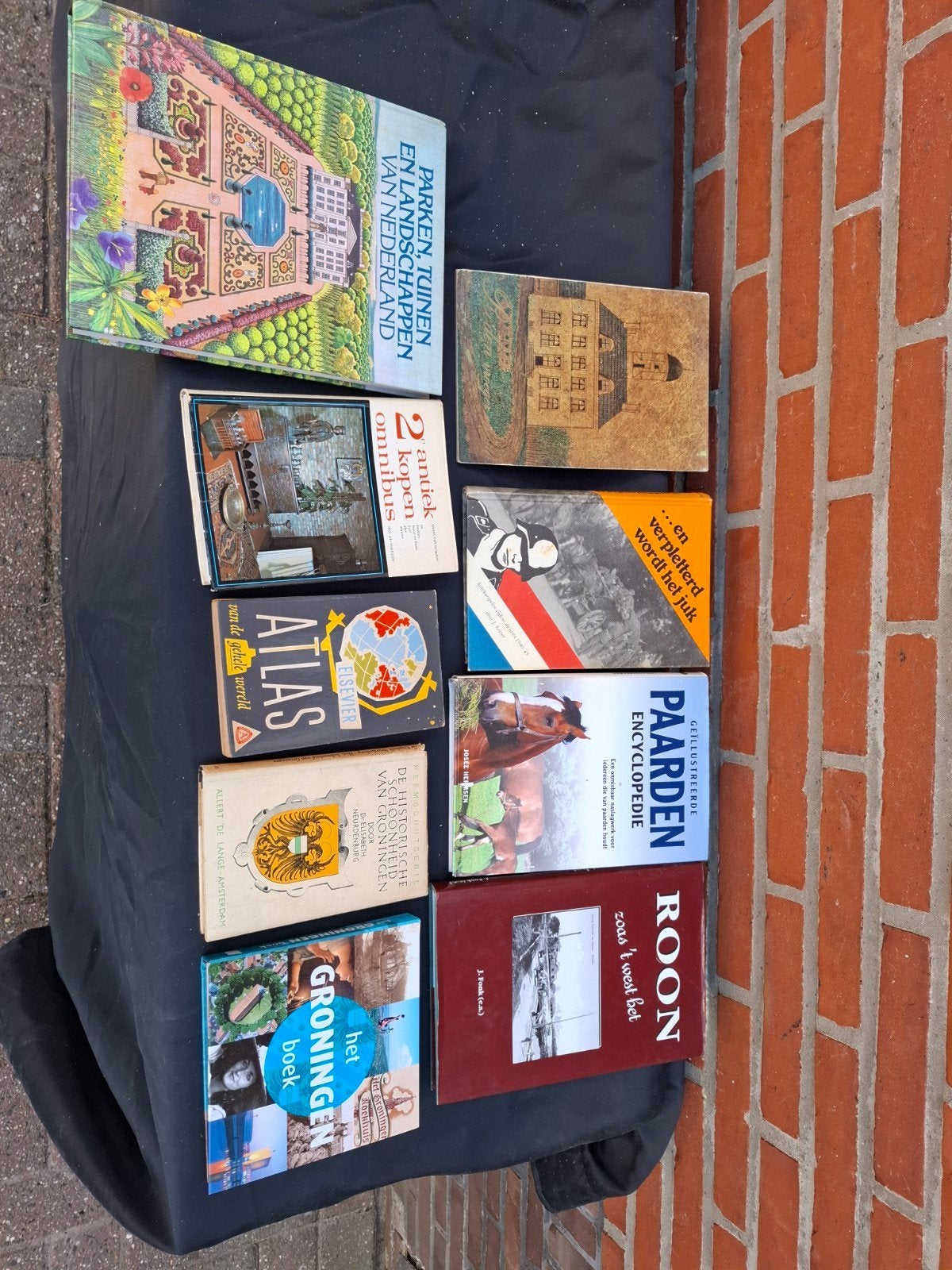 Diverse boeken: geschiedenis, natuur, encyclopedieën, Ophalen of Verzenden, Gelezen, Nederland