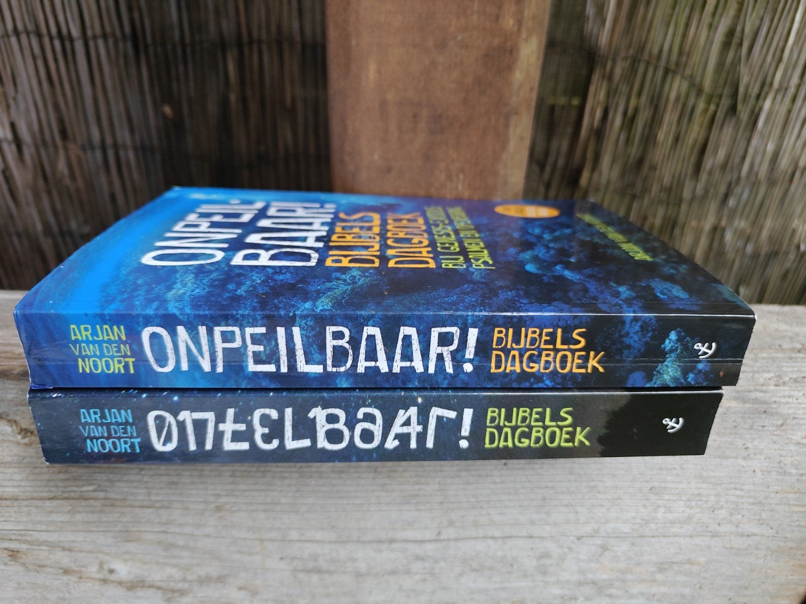 2 Bijbelse dagboeken van Arjan van den Noort., Boeken, Godsdienst en Theologie, Ophalen of Verzenden, Zo goed als nieuw
