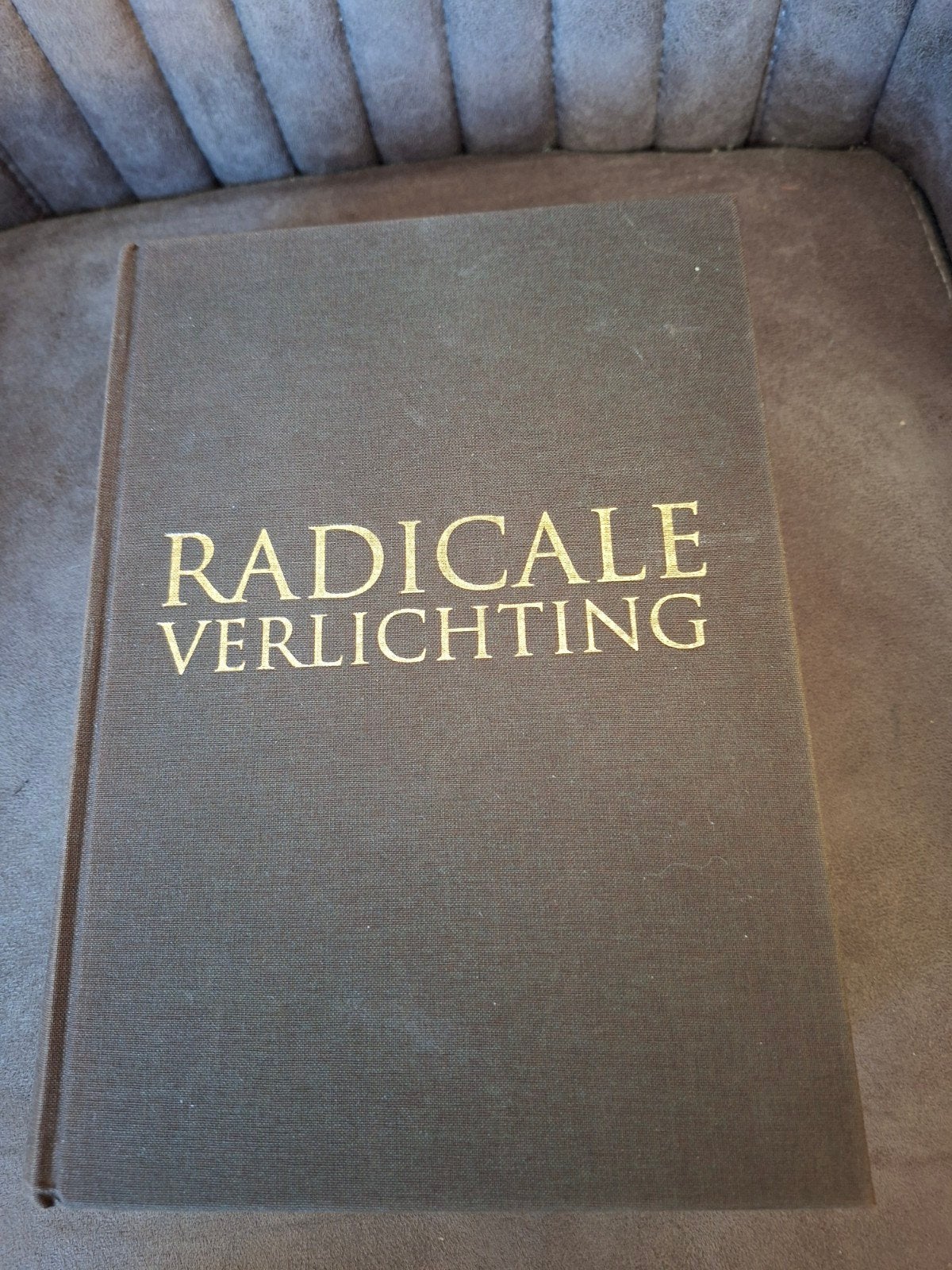 Radicale Verlichting - Jonathan I. Israel (Hardcover), Ophalen of Verzenden, Gelezen, Wijsbegeerte of Ethiek, Jonathan I. Israel