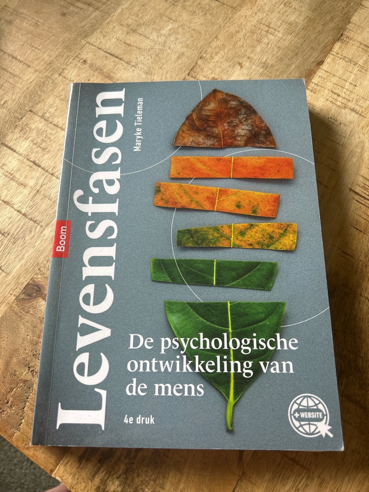 Levensfasen: De psychologische ontwikkeling van de mens, Ophalen of Verzenden, Gamma, Zo goed als nieuw, HBO