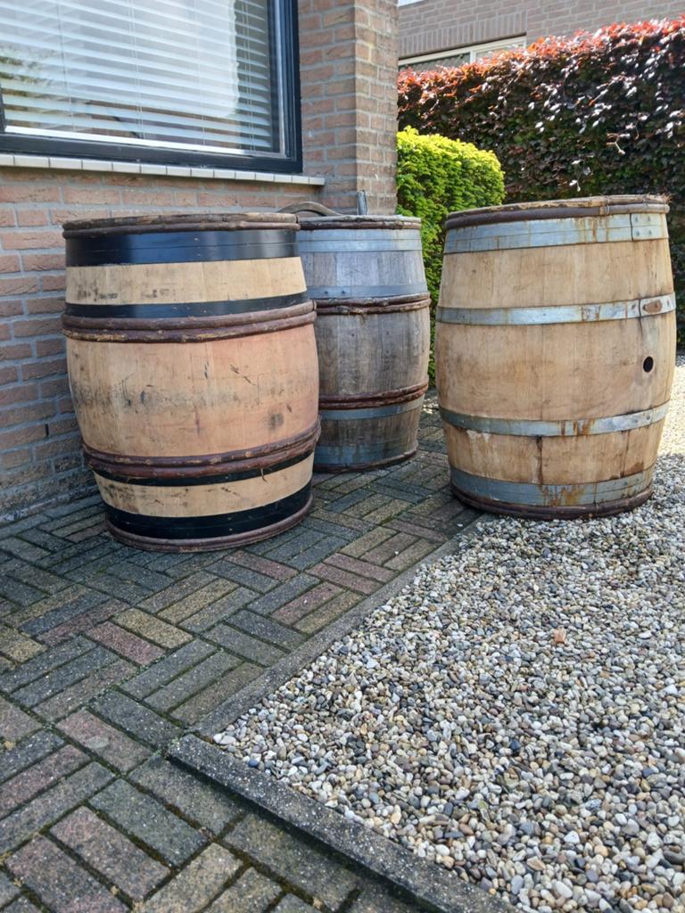 Wijnvaten, 150 liter of meer, Ophalen, Gebruikt, Hout