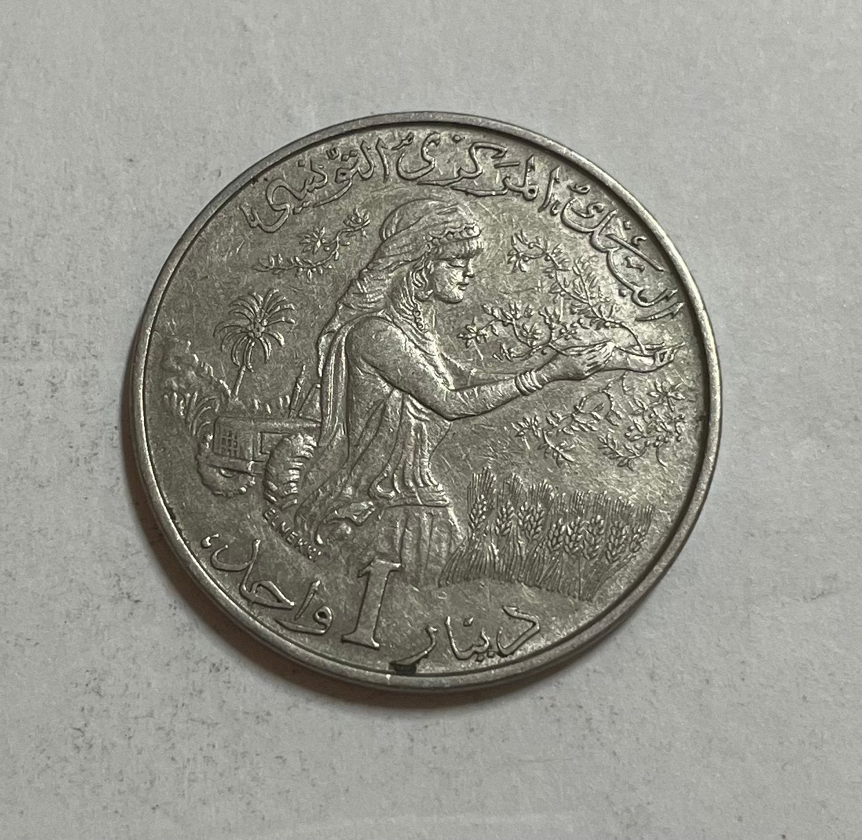 1 dinar Tunesië 1976, Ophalen of Verzenden, Midden-Oosten