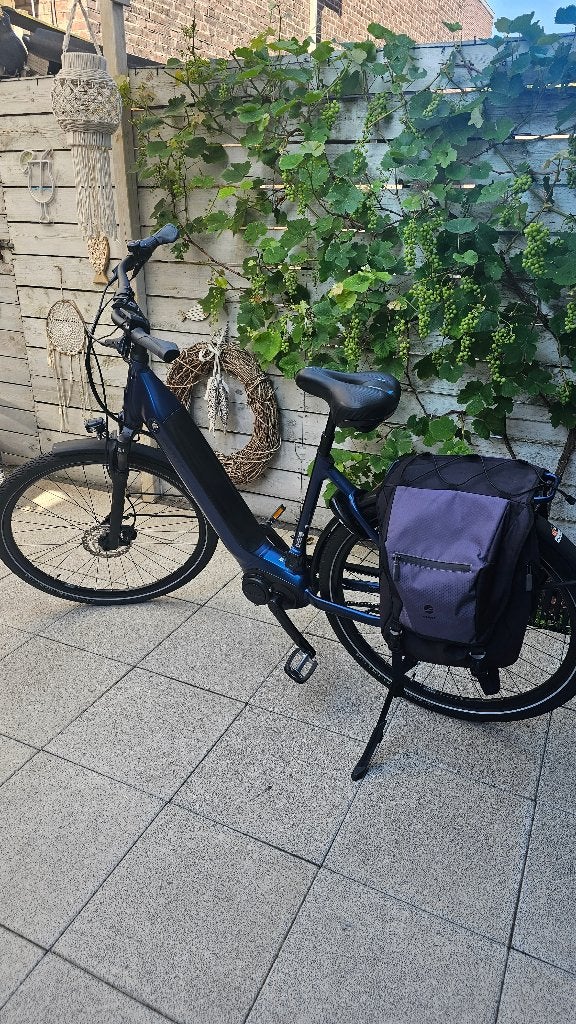 Giant daily tour e bike met weinig kilometer, Fietsen en Brommers, Ophalen, Versnellingen, Giant, Zo goed als nieuw