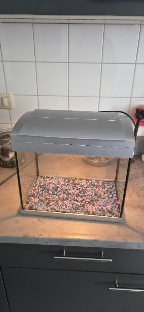 Superfish aqua 20 aquarium + ornament en bodem, Dieren en Toebehoren, Ophalen, Zo goed als nieuw, Leeg aquarium, Superfish