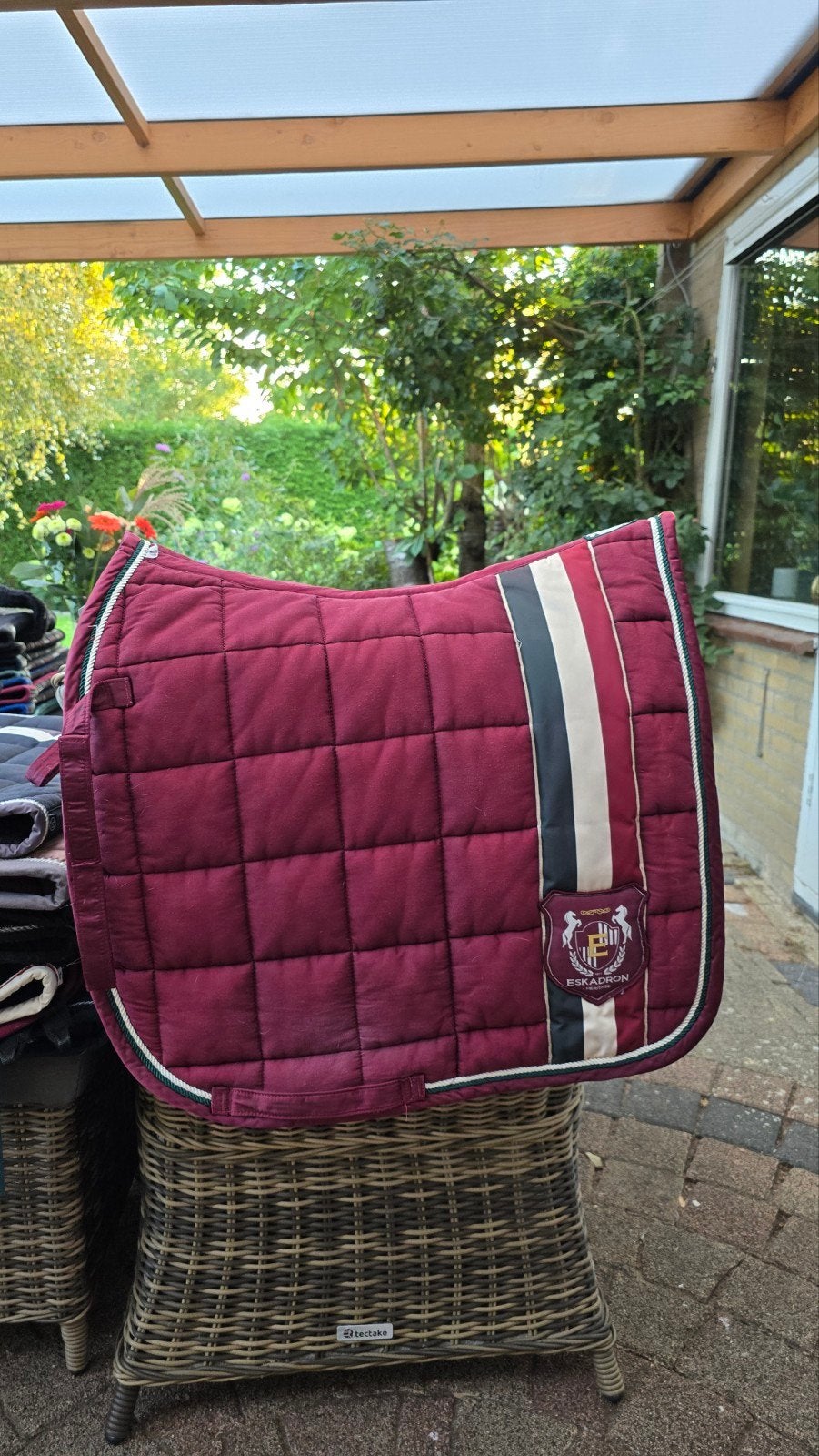 Eskadron FULL, Ophalen of Verzenden, Dressuur