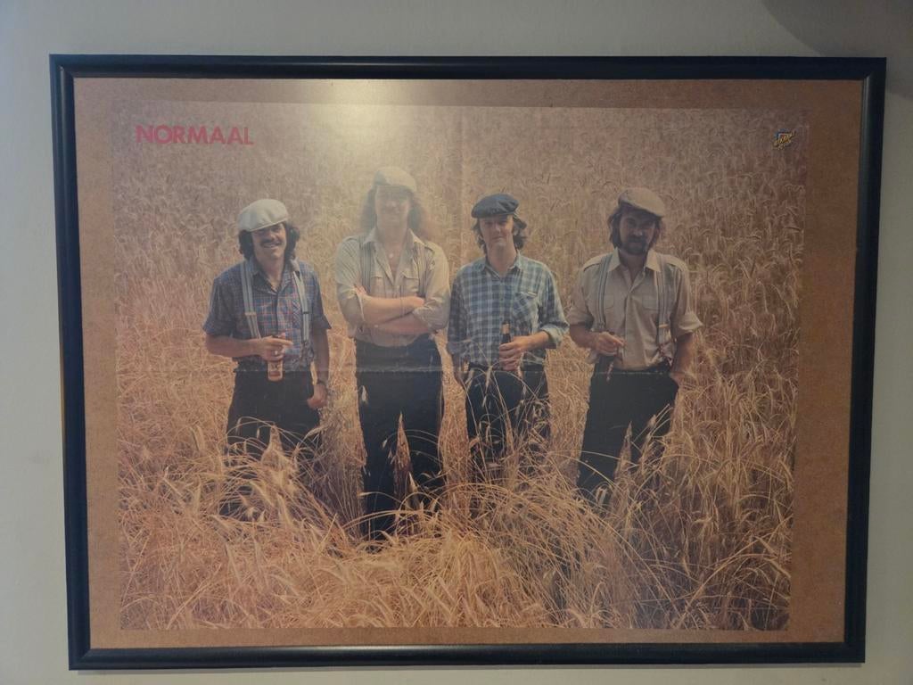 Normaal Band Poster Ingelijst - Uniek Verzamelobject, Ophalen of Verzenden, Gebruikt, Poster, Artwork of Schilderij