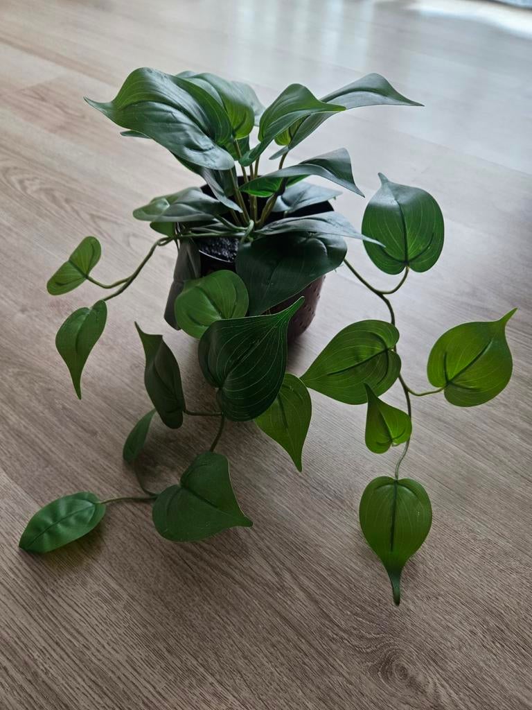 IKEA FEJKA Kunstplant met pot - Groen, hangplant, Ophalen, Groen, Kunststof, Zo goed als nieuw