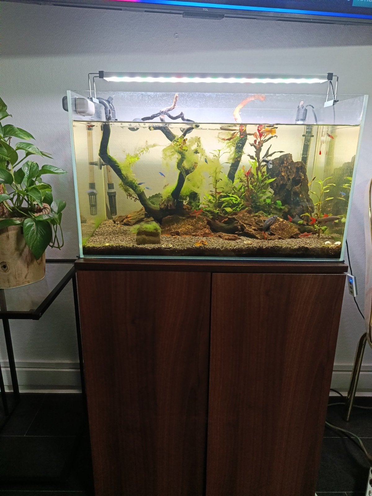 aquarium, Ophalen, Zo goed als nieuw, Gevuld zoetwateraquarium