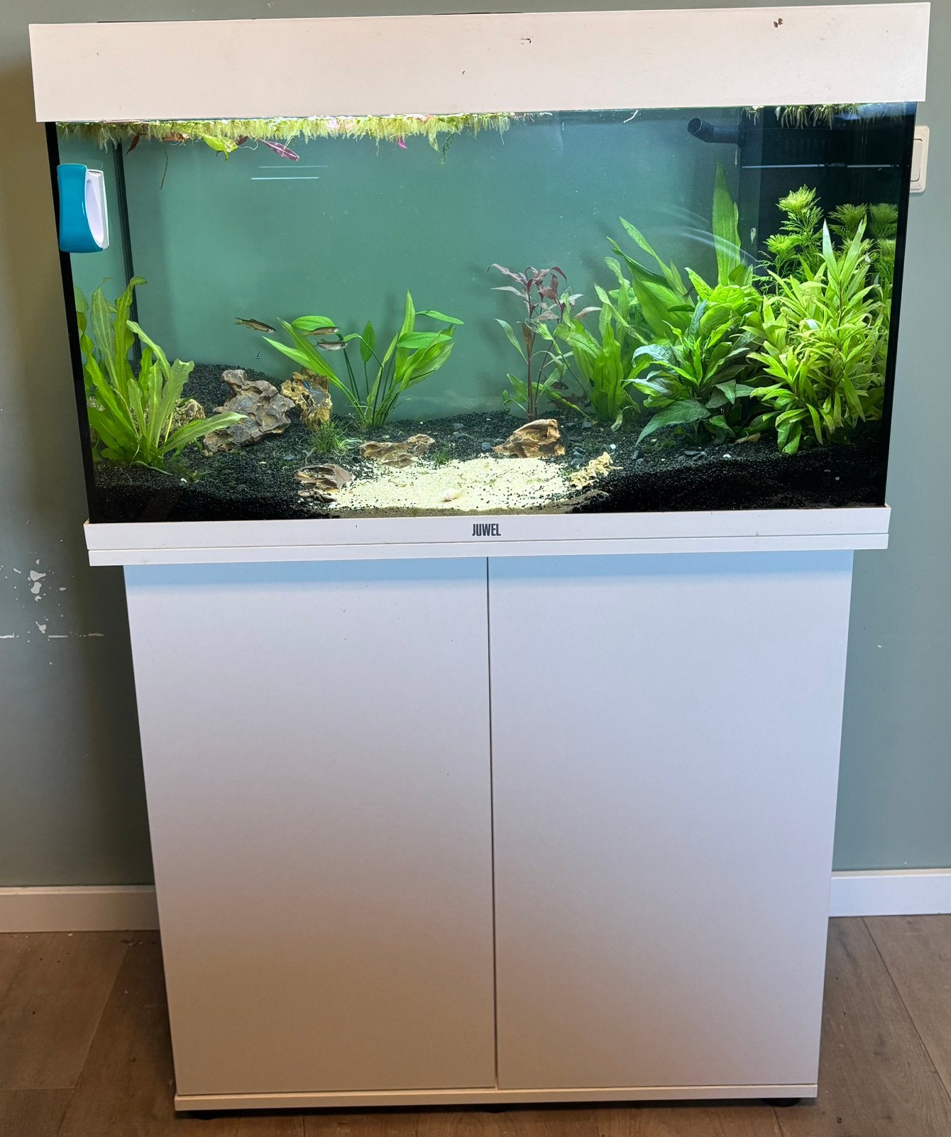 Aquarium, Overige typen, Ophalen of Verzenden, Zo goed als nieuw, Inclusief vissen