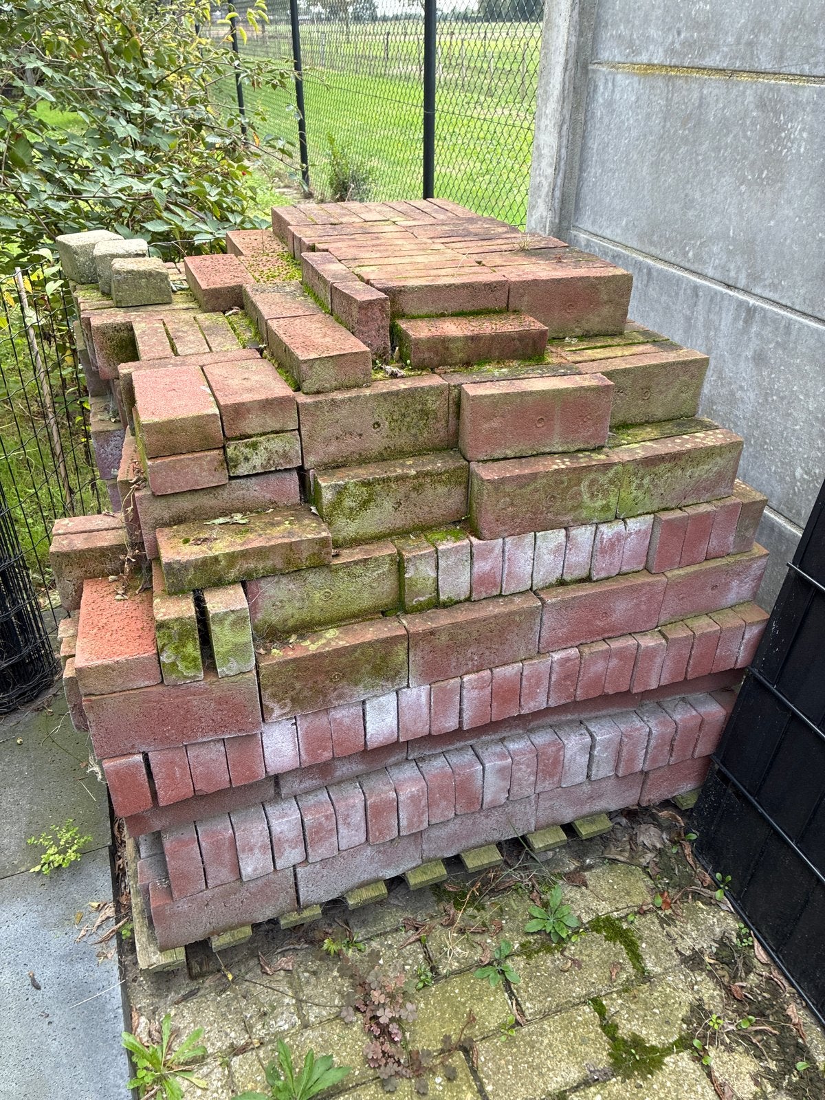 Rode metselstenen, ca. 900-1000 stuks, Ophalen, Gebruikt, Bakstenen