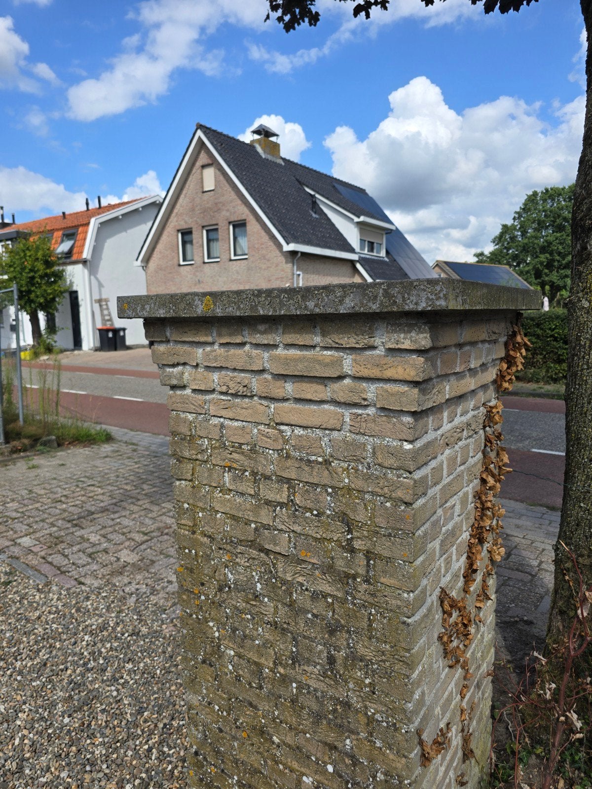 paalmuts leisteen, Ophalen of Verzenden