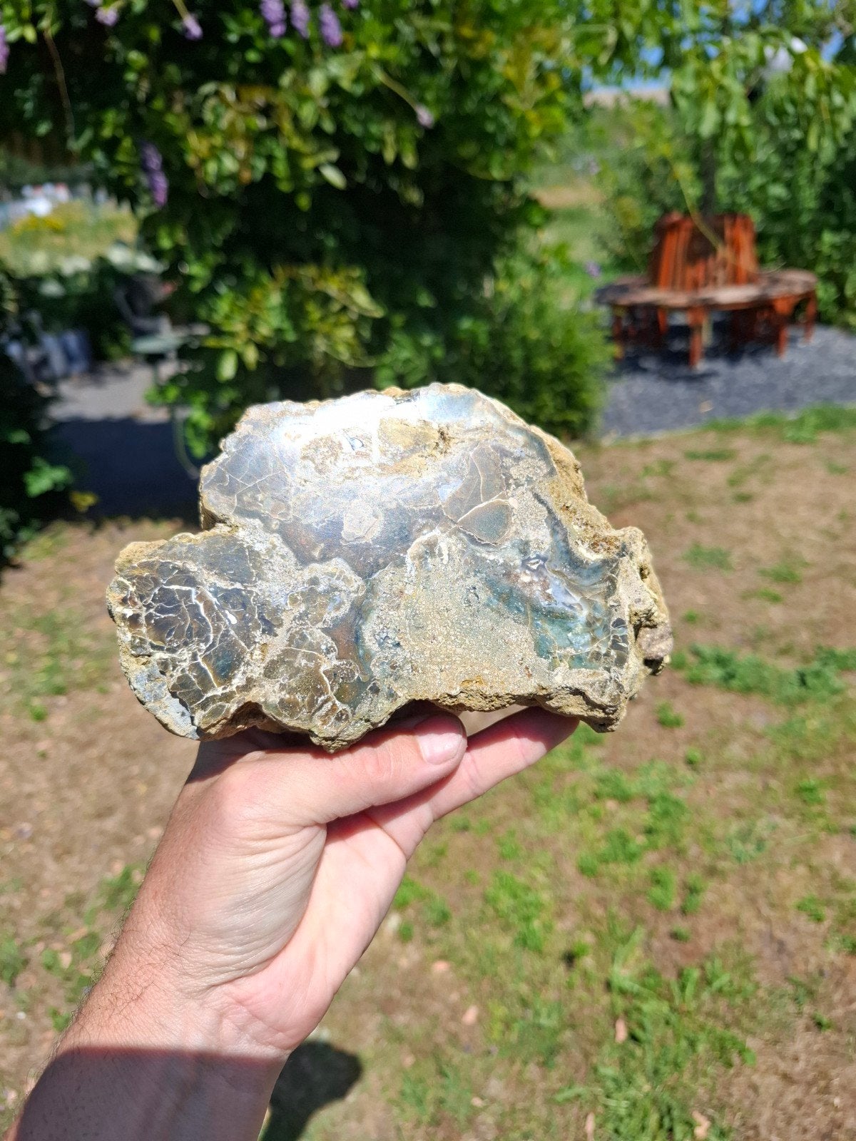 Versteend hout Indonesie eenzijdig gepolijst, Verzamelen, Ophalen of Verzenden, Mineraal