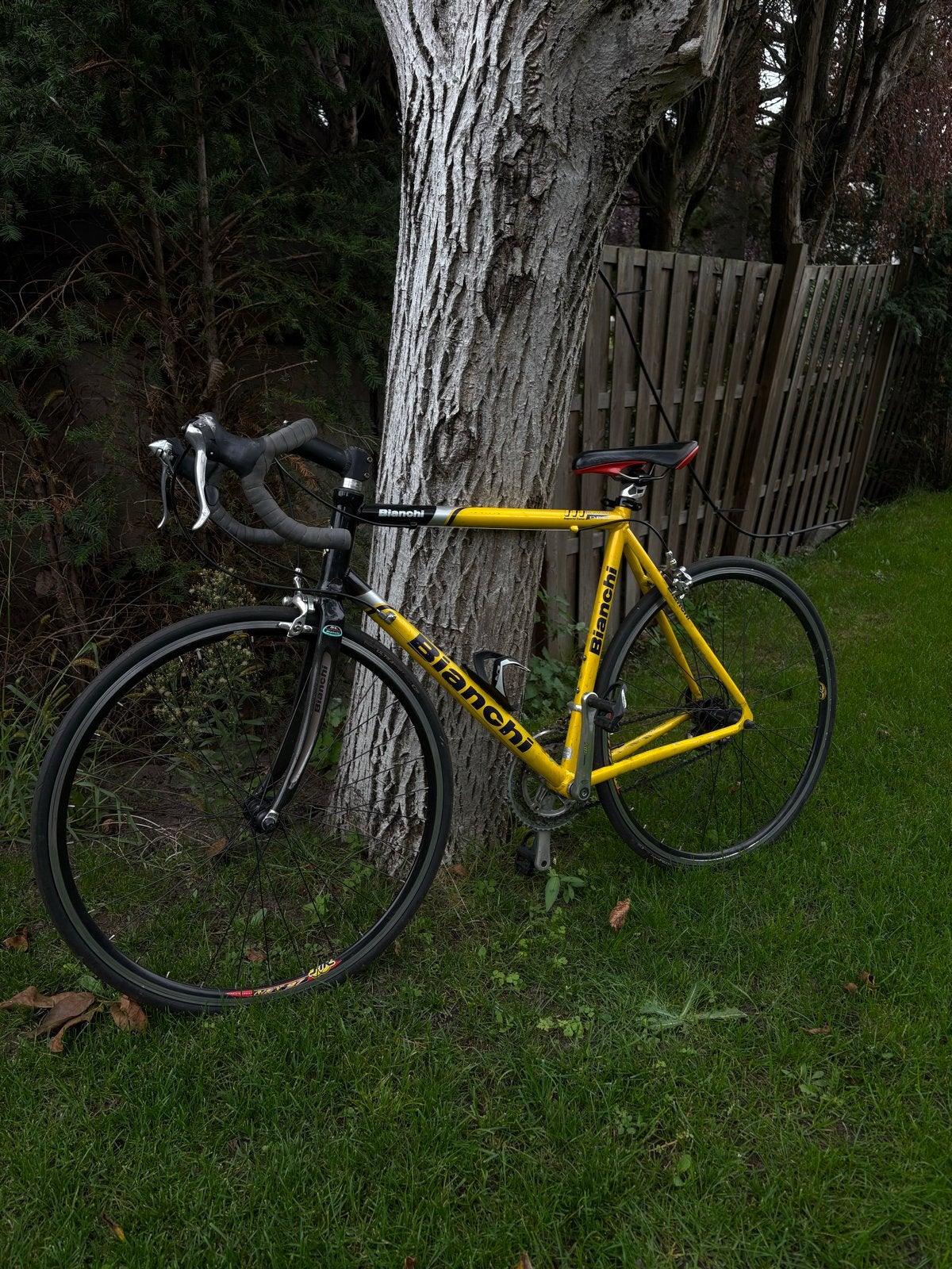 Bianchi Racefiets maat 54 - Shimano 105, 28 inch, Gebruikt, Aluminium, 15 tot 20 versnellingen