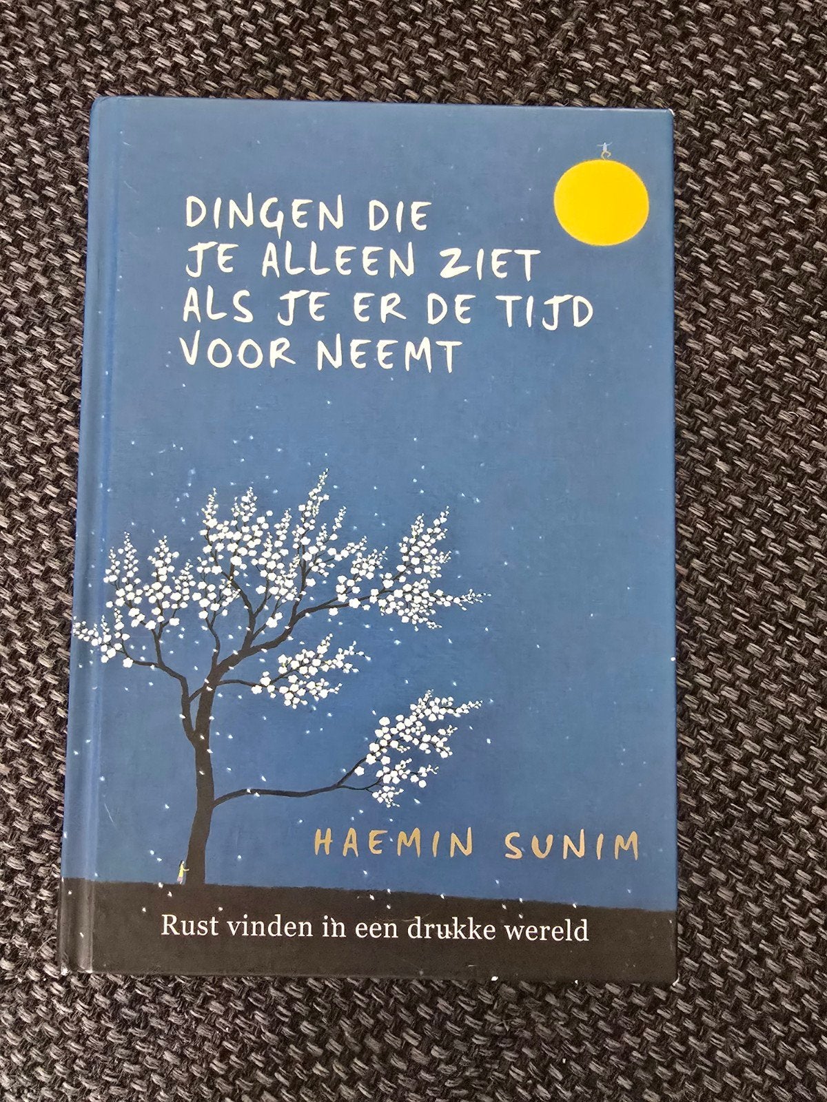 Dingen die je alleen ziet als je er de tijd voor neemt, Ophalen of Verzenden, Zo goed als nieuw, Haemin sunim