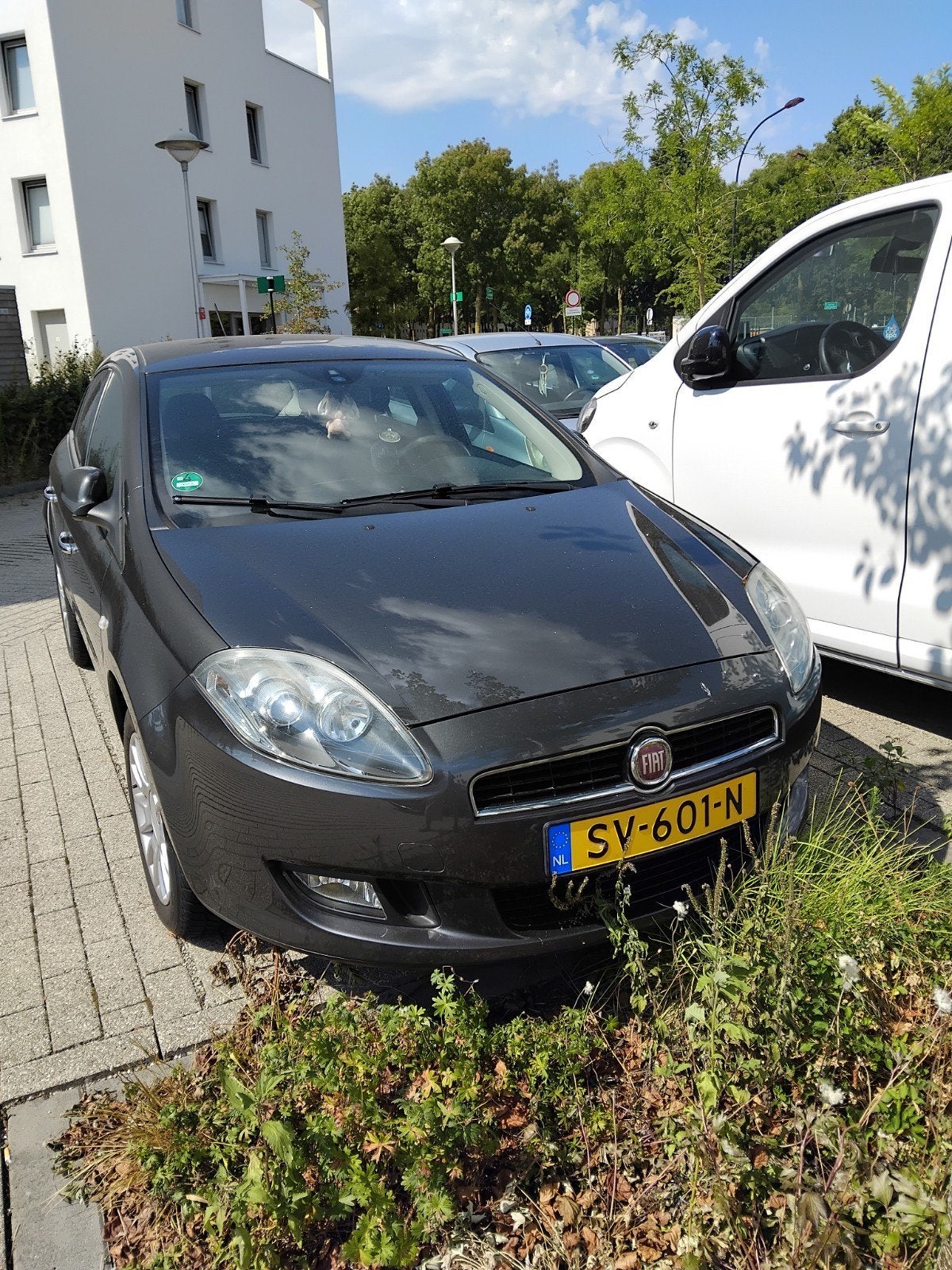 Te koop aangeboden, Ophalen