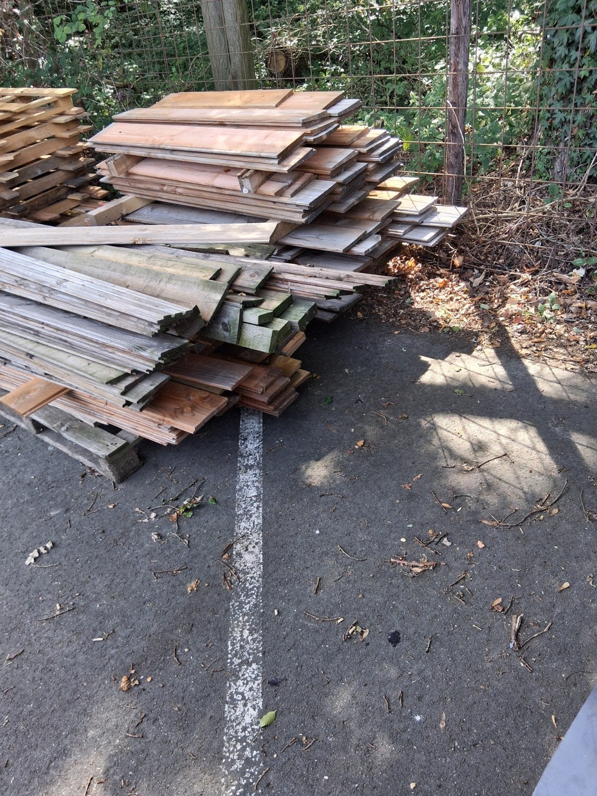 Hout voor klusser of kachel - diverse planken, Ophalen, Gebruikt, Minder dan 25 mm, Plank
