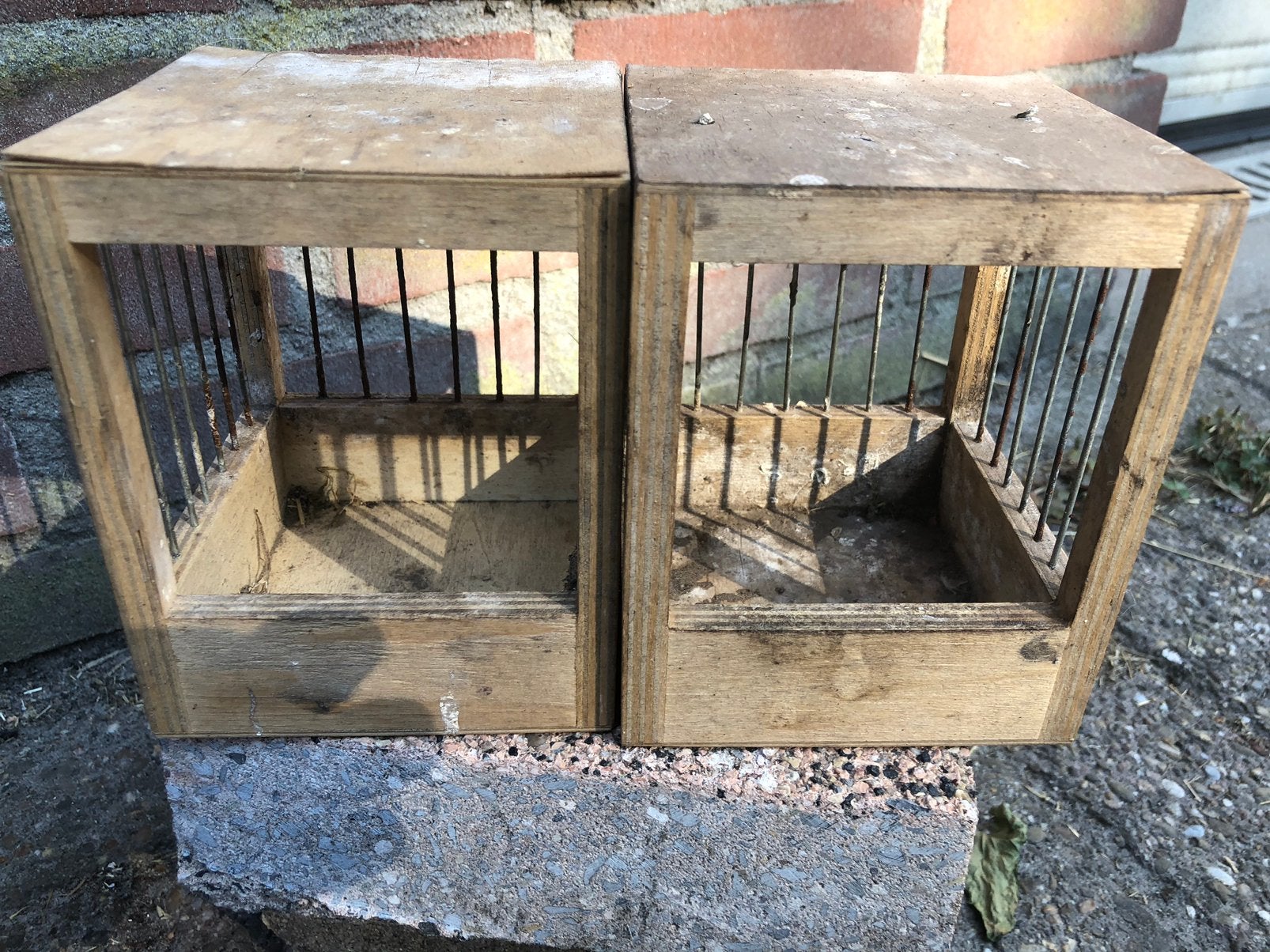 Trailiekooi, Dieren en Toebehoren, Kooi, Minder dan 75 cm, Zo goed als nieuw, Ophalen