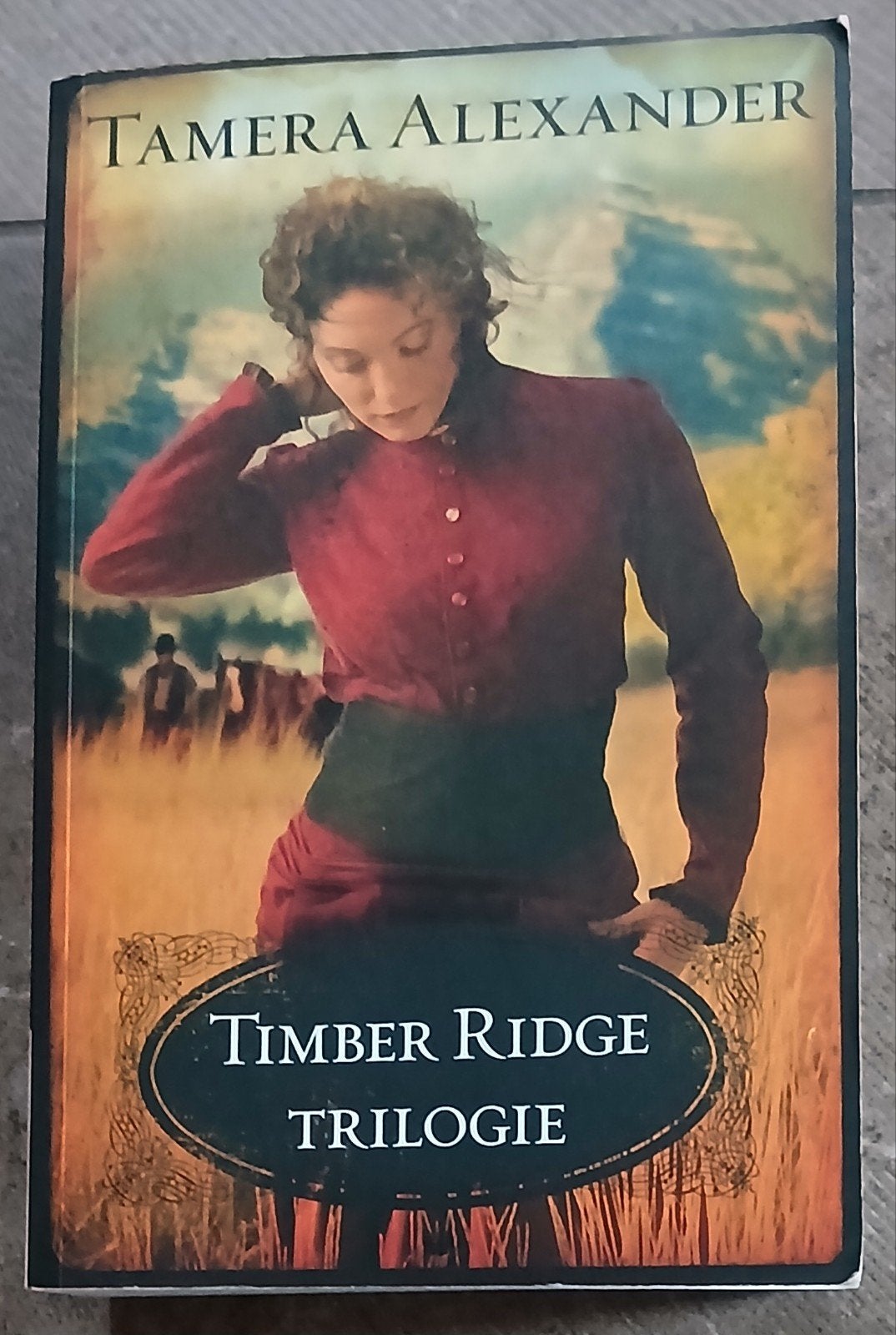 Timber Ridge Trilogie - Tamera Alexander, Ophalen of Verzenden, Gelezen, Tamera Alexander